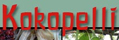Kopo
