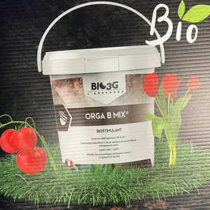 ORGA B MIX (activateurs organiques)