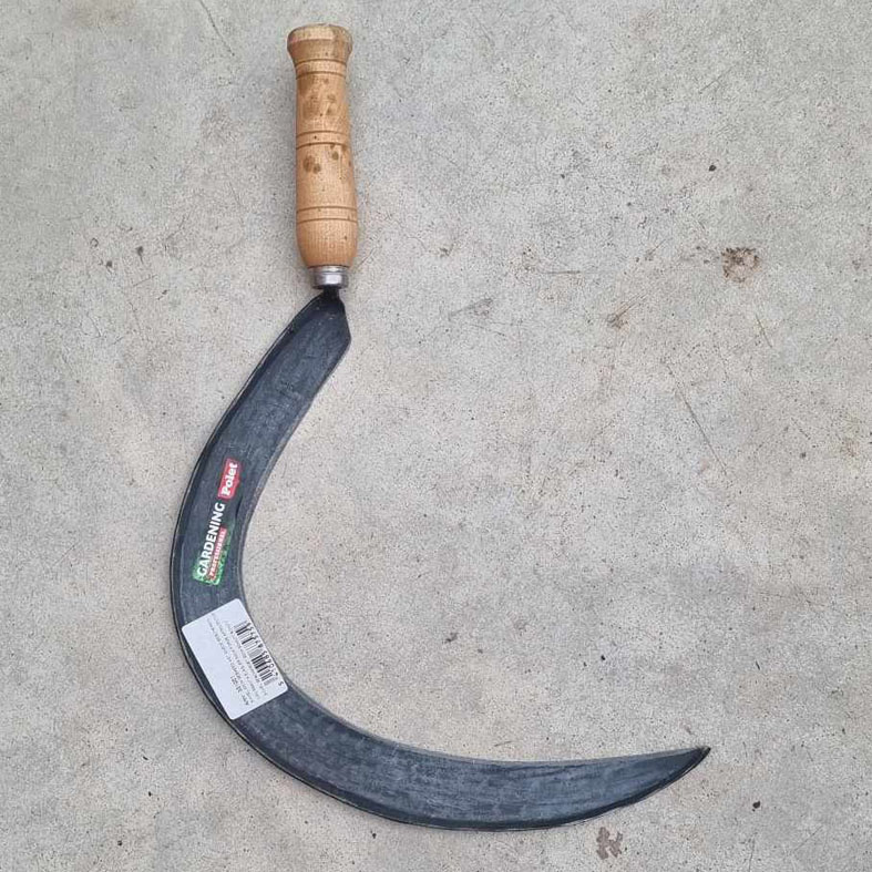Croissant Ã  Ã©laguer 50cm